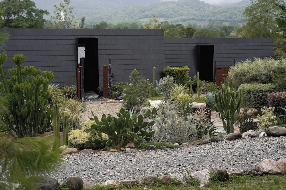 The Campian, photo 4