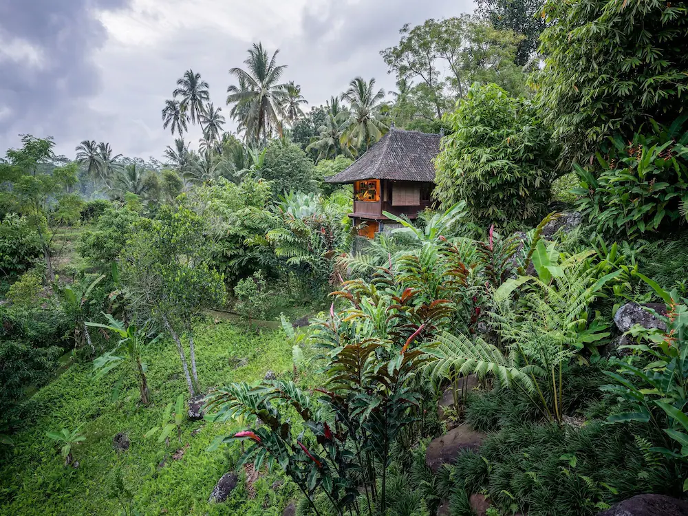Bali Eco Stay — 3
