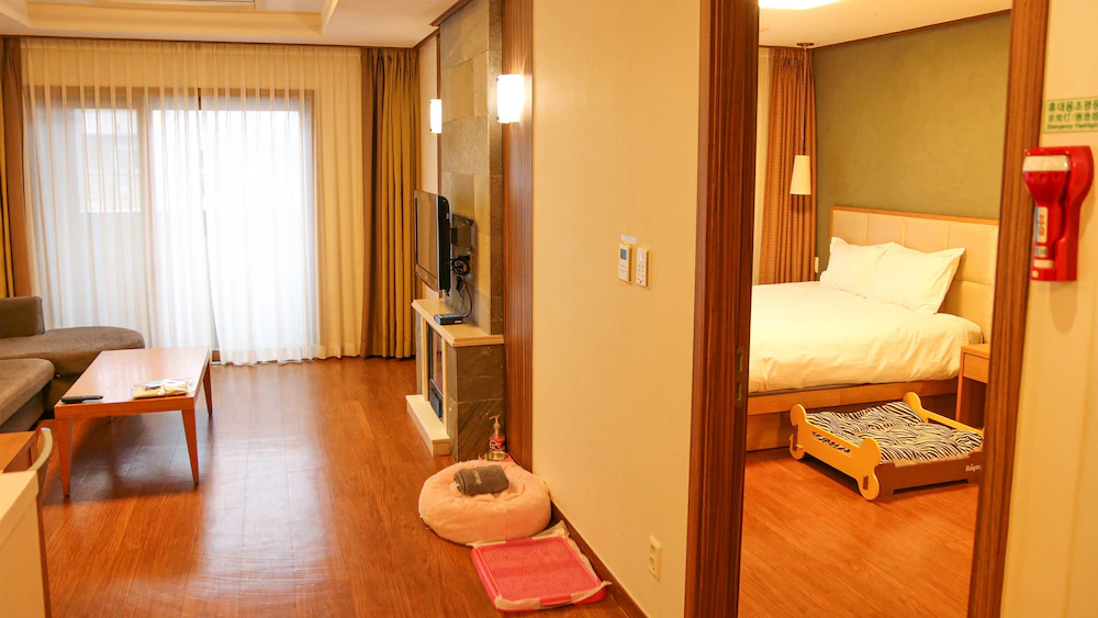 Holiday Inn Resort Alpensia Pyeongchang, photo 2